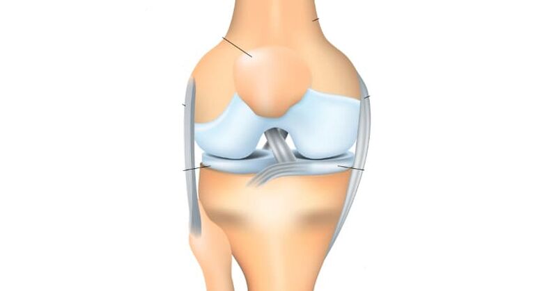 anatomie kolena