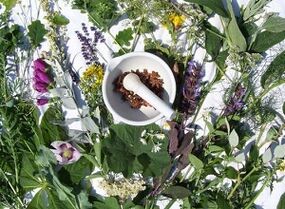 bylinky pro léčbu osteochondrózy